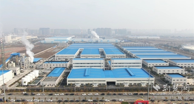 園區(qū)企業(yè)。記者 魯偉龍 攝.webp.jpg