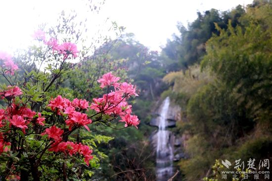 黃龍山頂，風(fēng)景如畫 黃錚 攝_副本.jpg.jpg